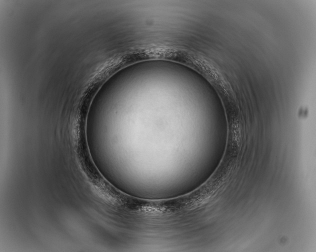 X0000100470690200806131127