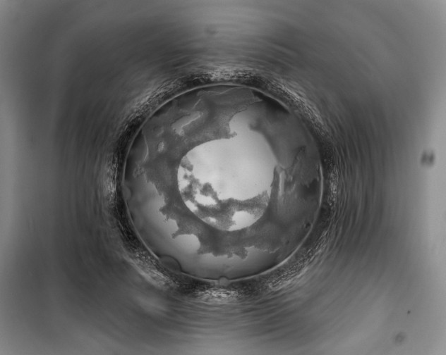 X0000100470691200806131127