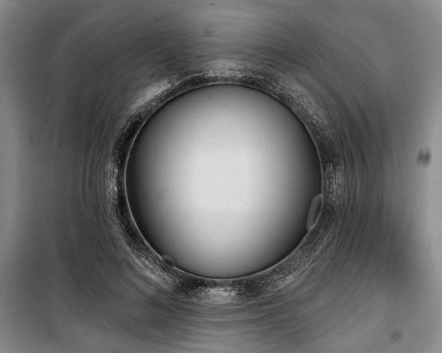 X0000100470692200806131127