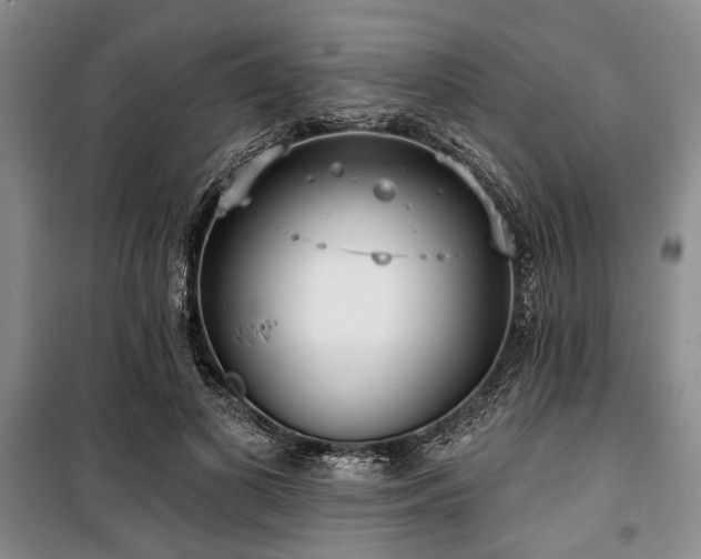 X0000100470693200806131127