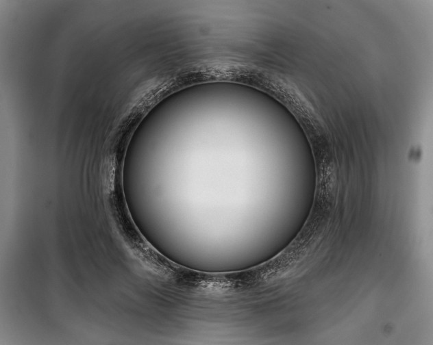 X0000100470694200806131127