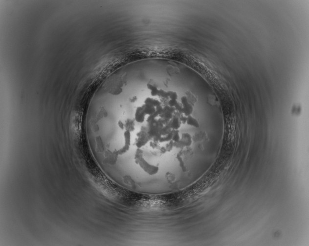 X0000100470695200806131127