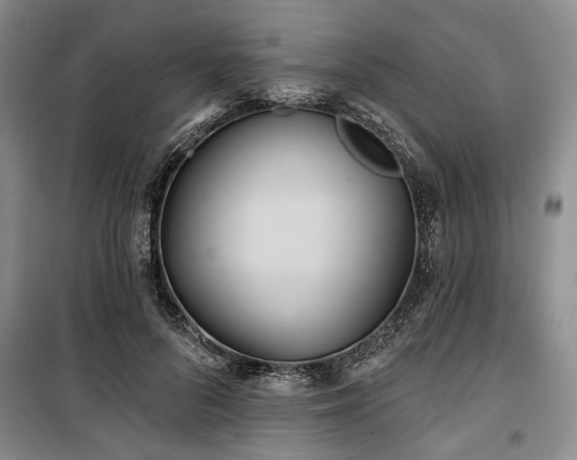 X0000100470696200806131127