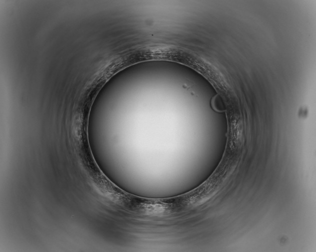 X0000100470698200806131127