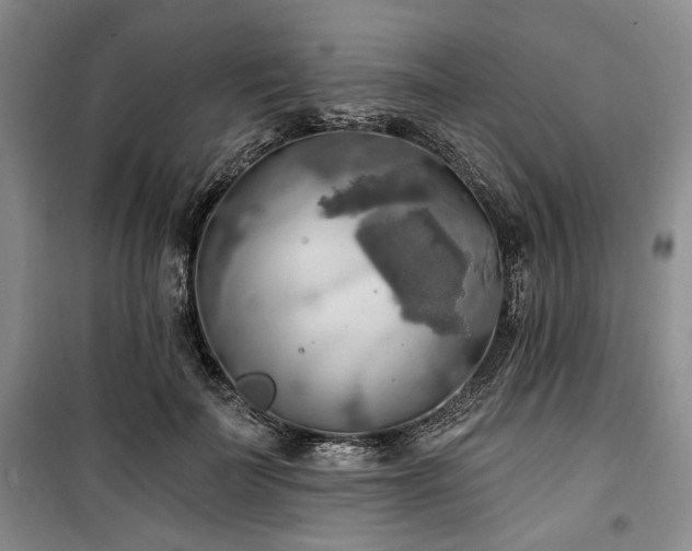 X0000100470699200806131127