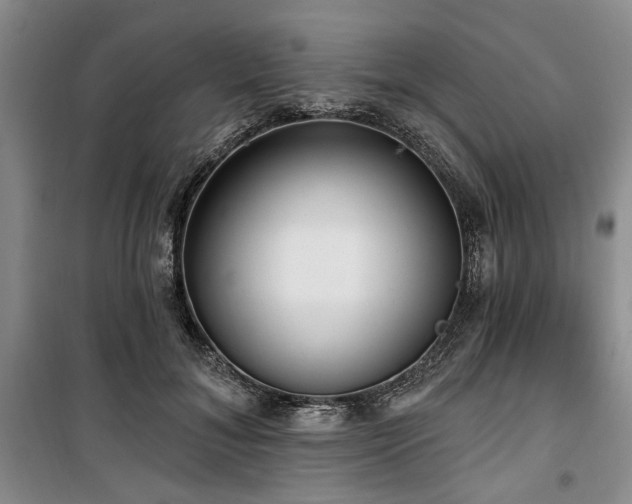 X0000100470700200806131127