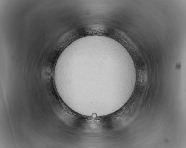 X0000100470701200806131127