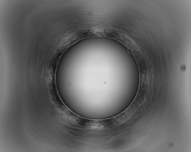 X0000100470702200806131127