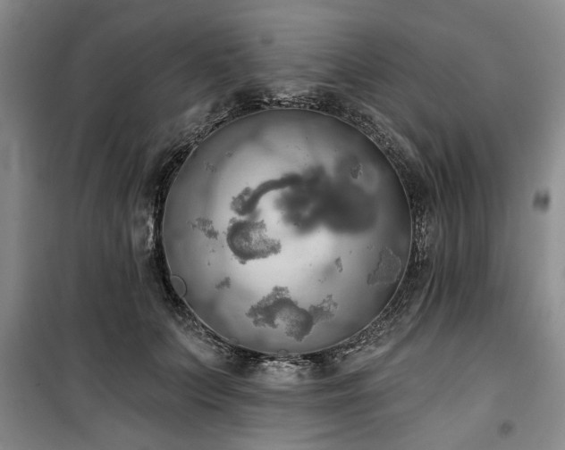 X0000100470703200806131127