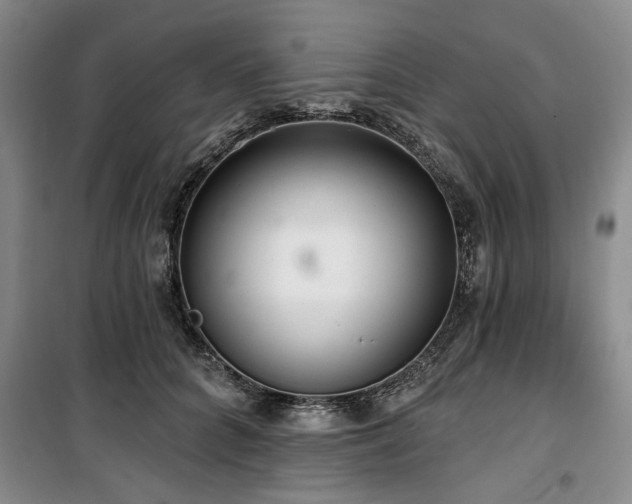 X0000100470704200806131127