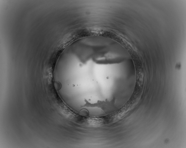 X0000100470707200806131127