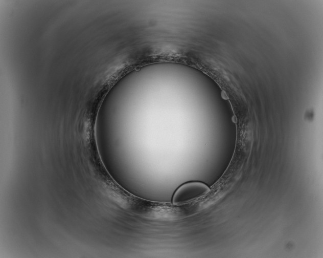 X0000100470708200806131127