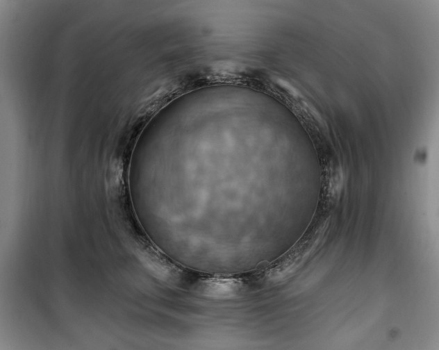 X0000100470711200806131127