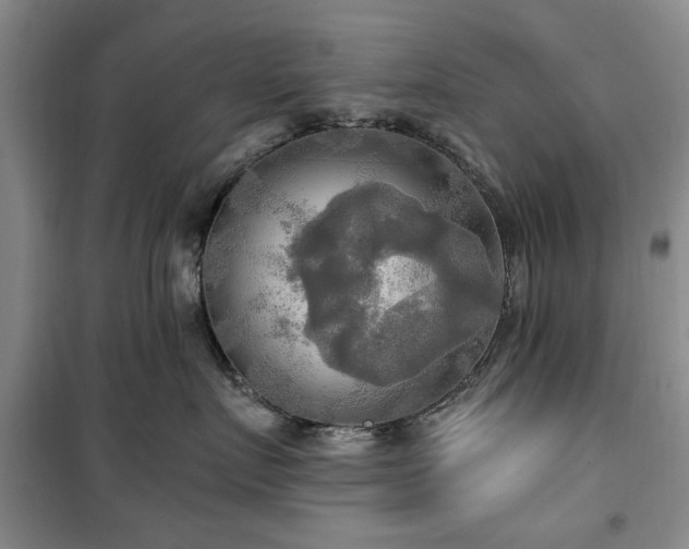 X0000100470719200806131127