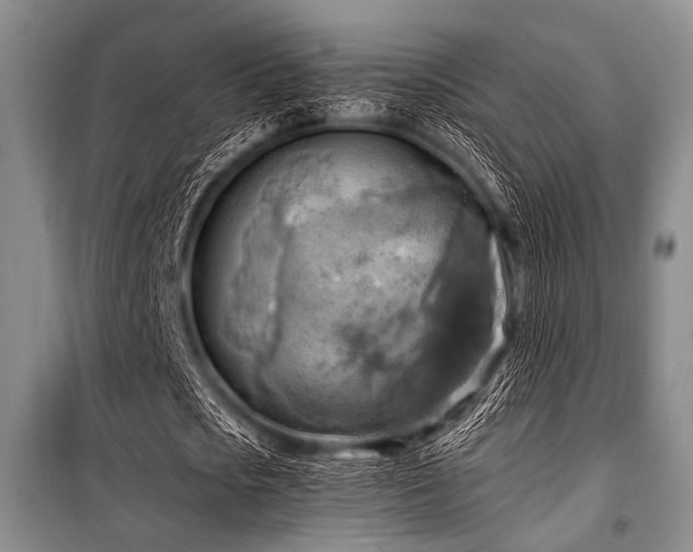 X0000100470721200806131126