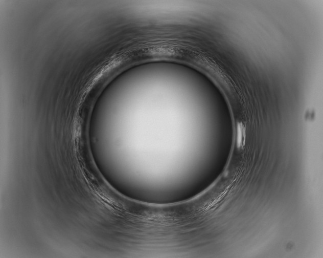 X0000100470723200806131126