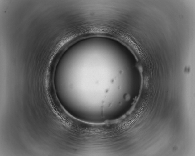 X0000100470724200806131126