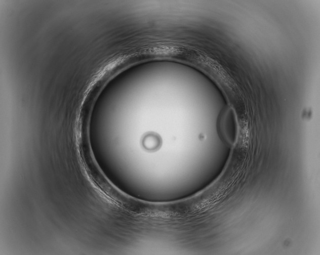 X0000100470726200806131126