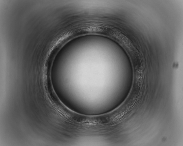 X0000100470727200806131126