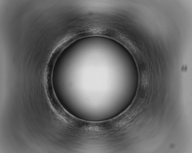 X0000100470730200806131126