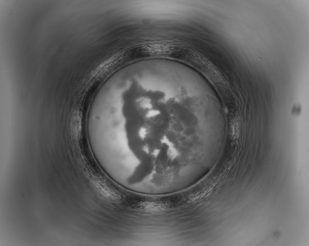 X0000100470733200806131126