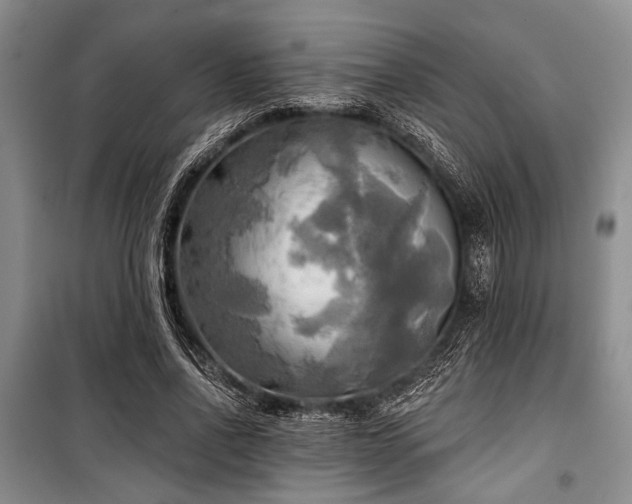 X0000100470734200806131126