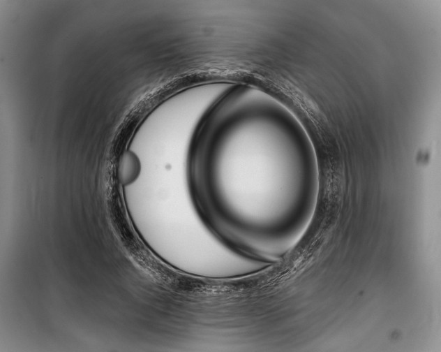 X0000100470736200806131126