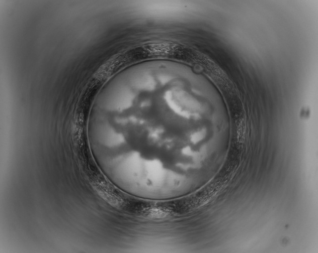 X0000100470737200806131126