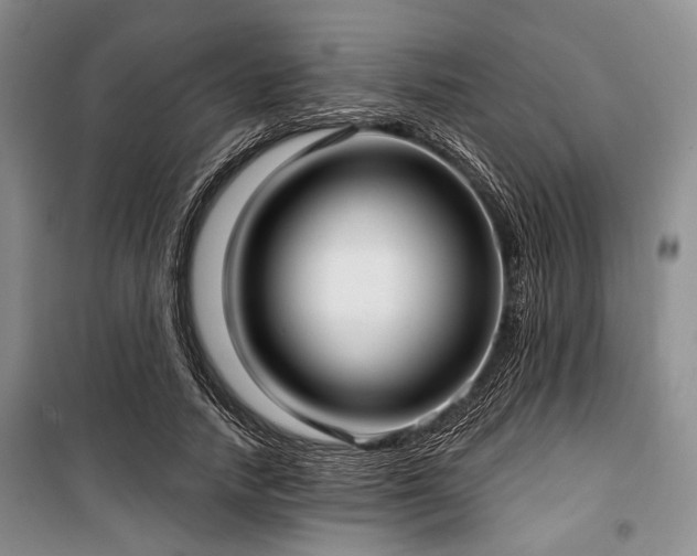 X0000100470738200806131126