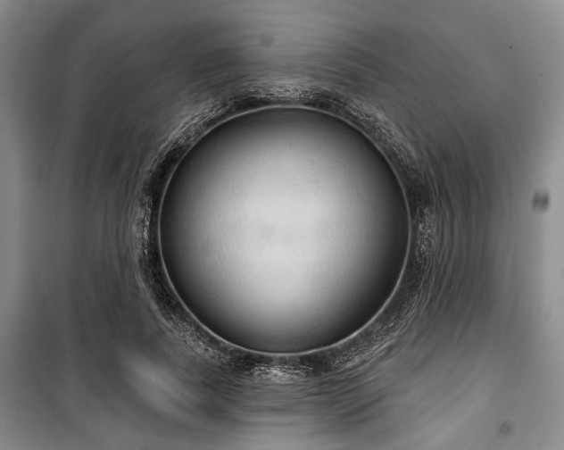 X0000100470739200806131126