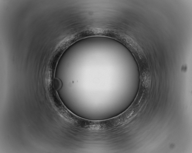 X0000100470740200806131126