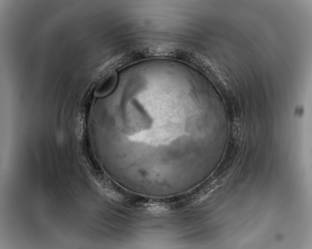 X0000100470741200806131127