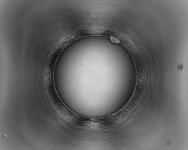 X0000100470743200806131127