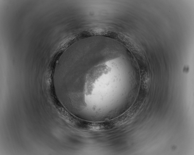 X0000100470746200806131127