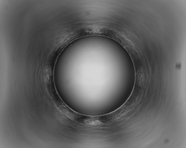 X0000100470747200806131127