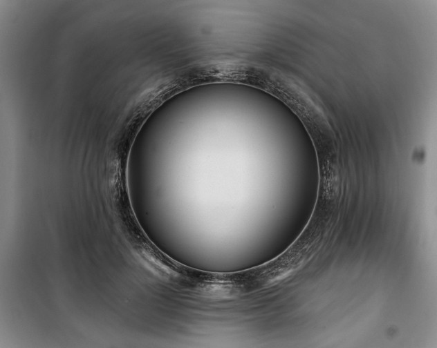 X0000100470748200806131127