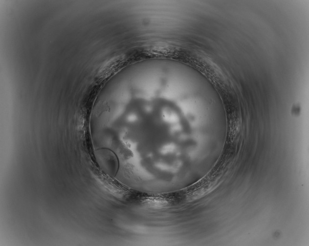 X0000100470749200806131127