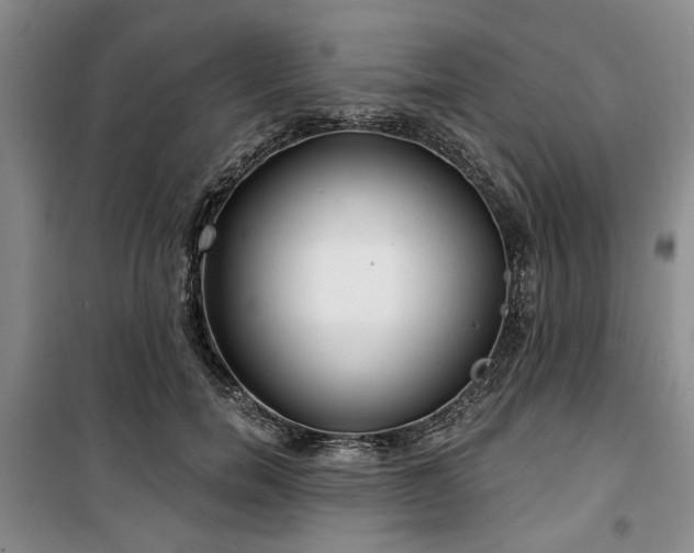 X0000100470750200806131127