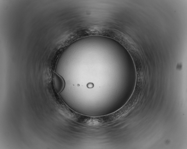 X0000100470751200806131127