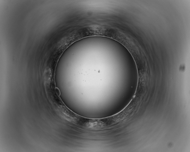 X0000100470752200806131127