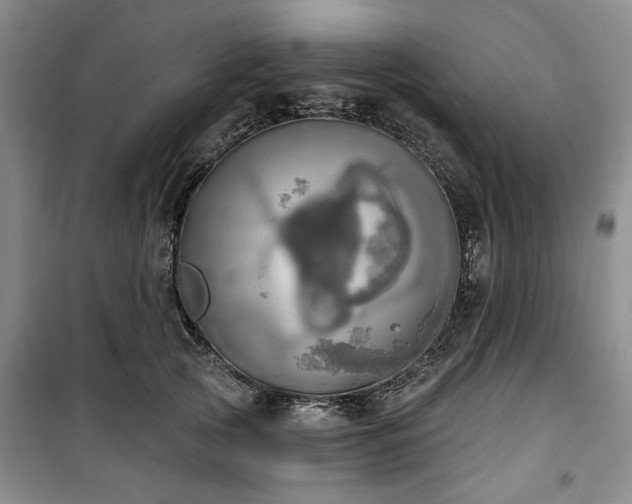 X0000100470753200806131127