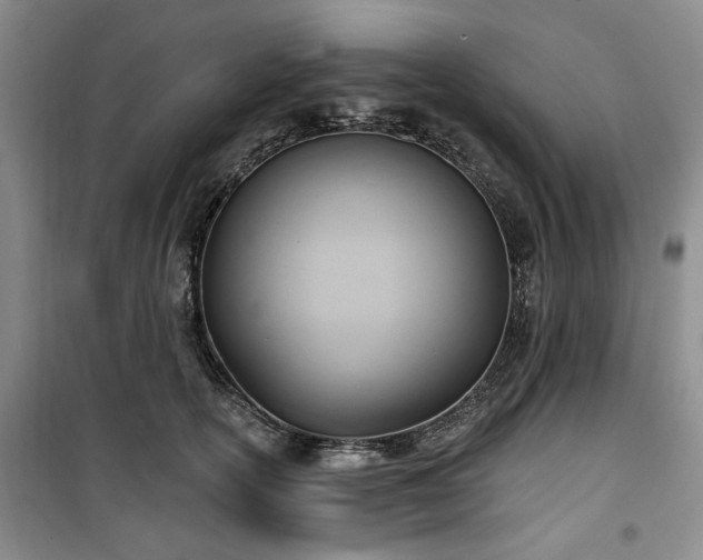 X0000100470754200806131127