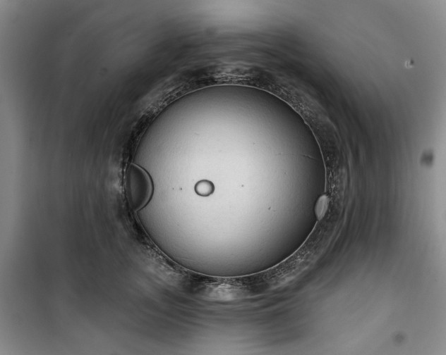 X0000100470755200806131127