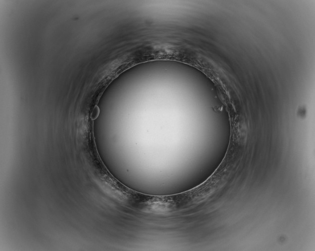 X0000100470756200806131127