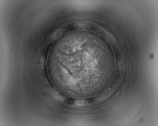 X0000100470757200806131127