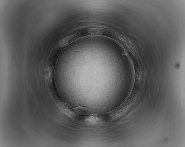 X0000100470759200806131127