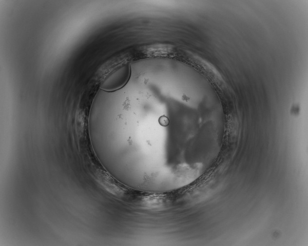 X0000100470761200806131127