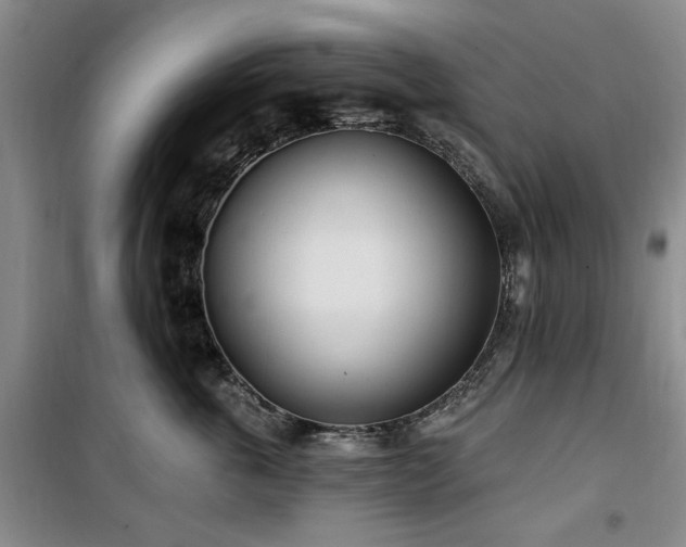 X0000100470763200806131127