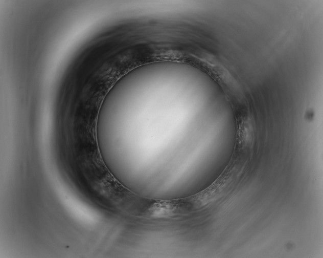 X0000100470764200806131127