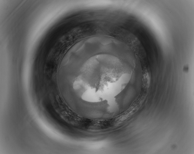 X0000100470765200806131127